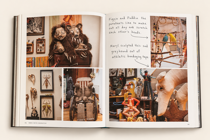 The Selby is in your place by Todd Selby